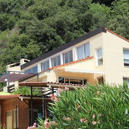 艾美丽·莱斯·班恩斯·帕尔Mas Solar D'En Malcion别墅 外观 照片
